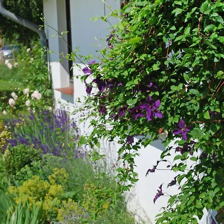 Appartement Bornholm By Interhome